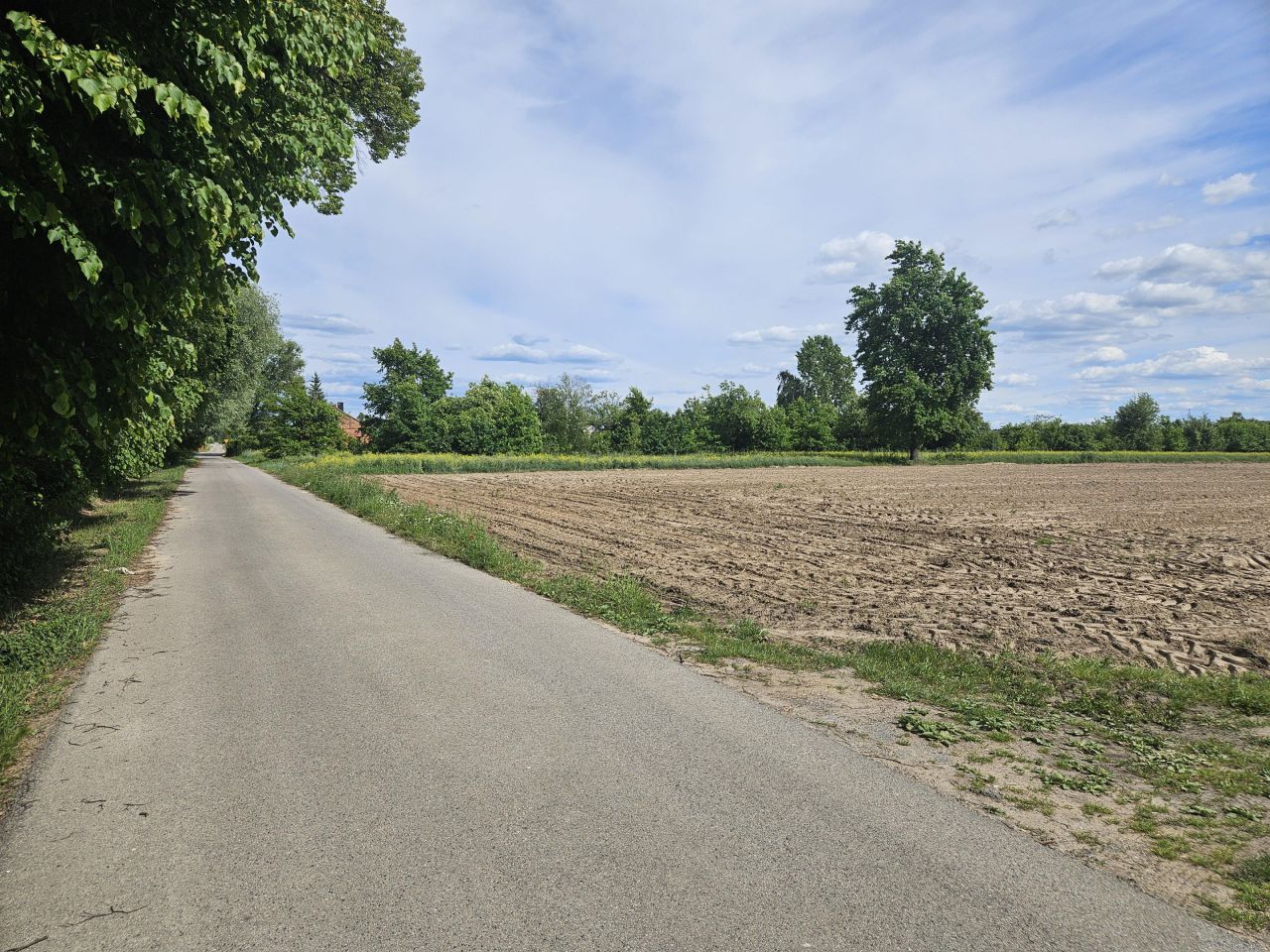 Działka budowlana Czermno. Zdjęcie 5