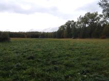 Działka rolna Rydzewo, ul. Mazurska. Zdjęcie 4