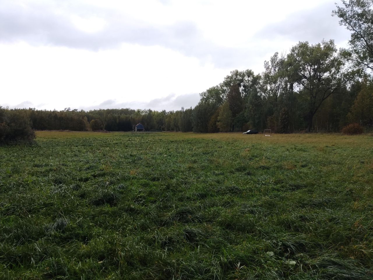 Działka rolna Rydzewo, ul. Mazurska. Zdjęcie 5