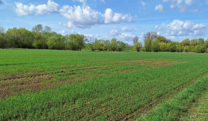 Działka inna Nowa Mała Wieś