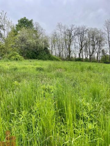 Działka budowlana Bolechowice, ul. Jurajska. Zdjęcie 7