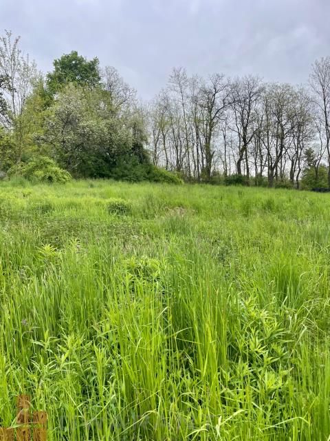 Działka budowlana Bolechowice, ul. Jurajska. Zdjęcie 7