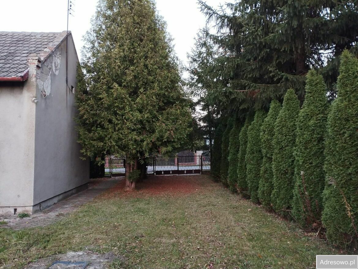 Działka budowlana Sierakowice Prawe. Zdjęcie 1