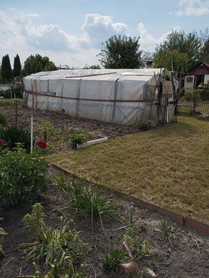 Działka rod Lubin, ul. Spacerowa