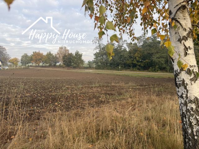 Działka budowlana Sternowo. Zdjęcie 11