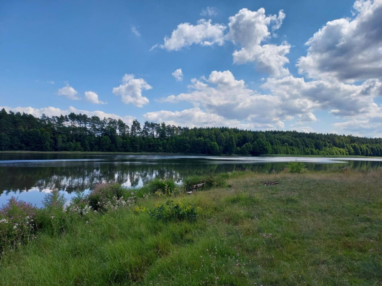 Działka budowlana Machliny. Zdjęcie 3