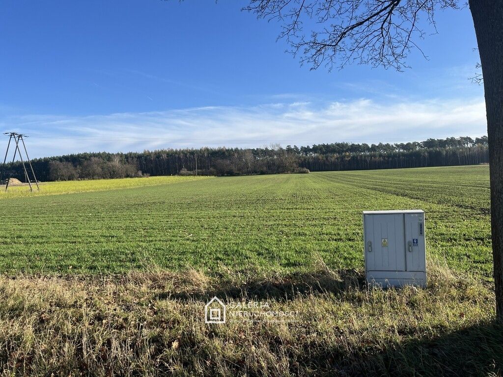 Działka inwestycyjna Bolechowo