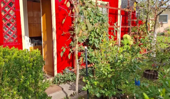 Działka rod Sztum, ul. Kasprowicza