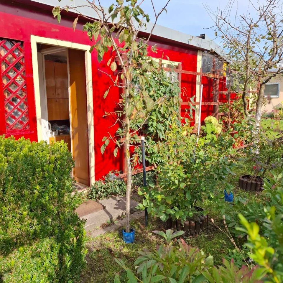 Działka rod Sztum, ul. Kasprowicza. Zdjęcie 1