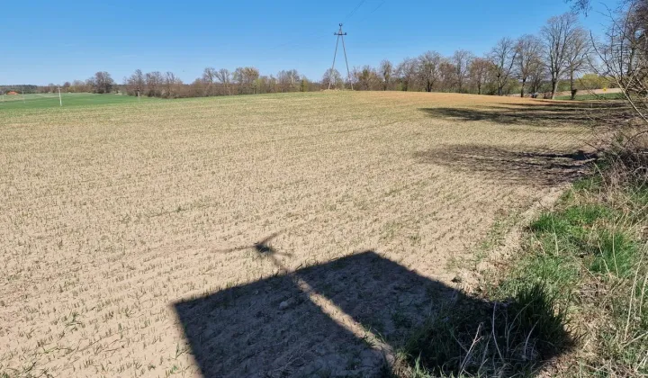 Działka budowlana Zajączkowo