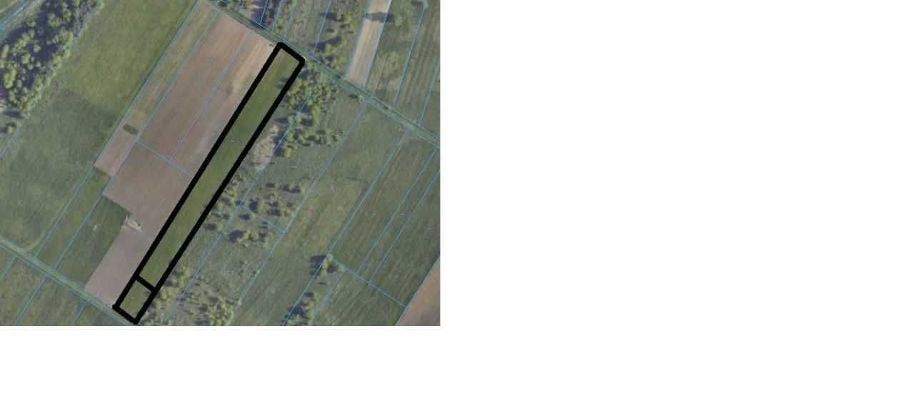 Działka rolna Pysznica. Zdjęcie 6