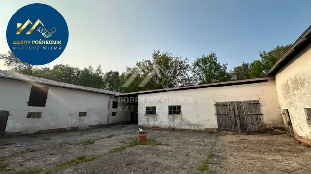 Działka siedliskowa Nosalin. Zdjęcie 16