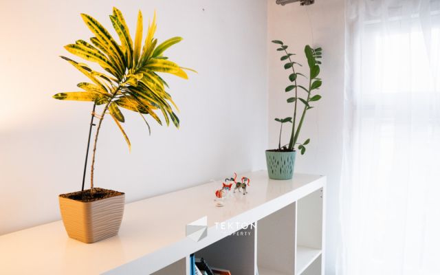 Mieszkanie 1-pokojowe Poznań Grunwald, ul. Grunwaldzka. Zdjęcie 6