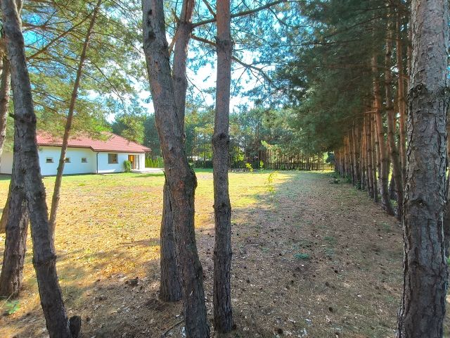 dom wolnostojący, 4 pokoje Brzóze Małe. Zdjęcie 4