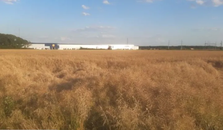 Działka inwestycyjna Małuszów