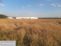 Działka inwestycyjna Małuszów