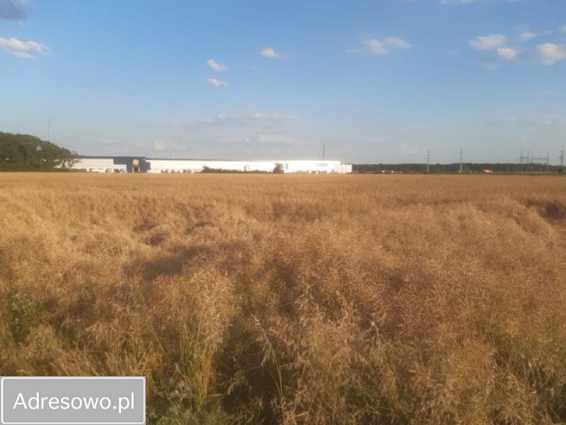 Działka inwestycyjna Małuszów