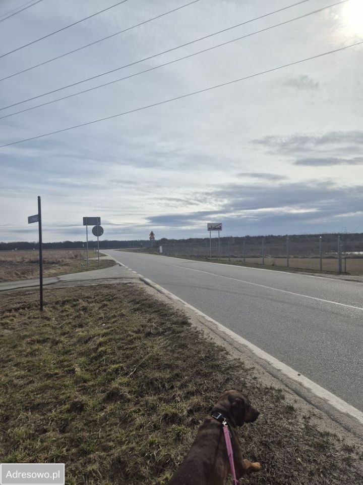 Działka rolna Stoszyce. Zdjęcie 2