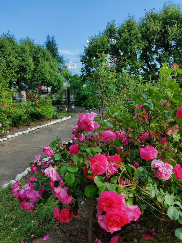 dom wolnostojący, 6 pokoi Gościeszowice. Zdjęcie 22