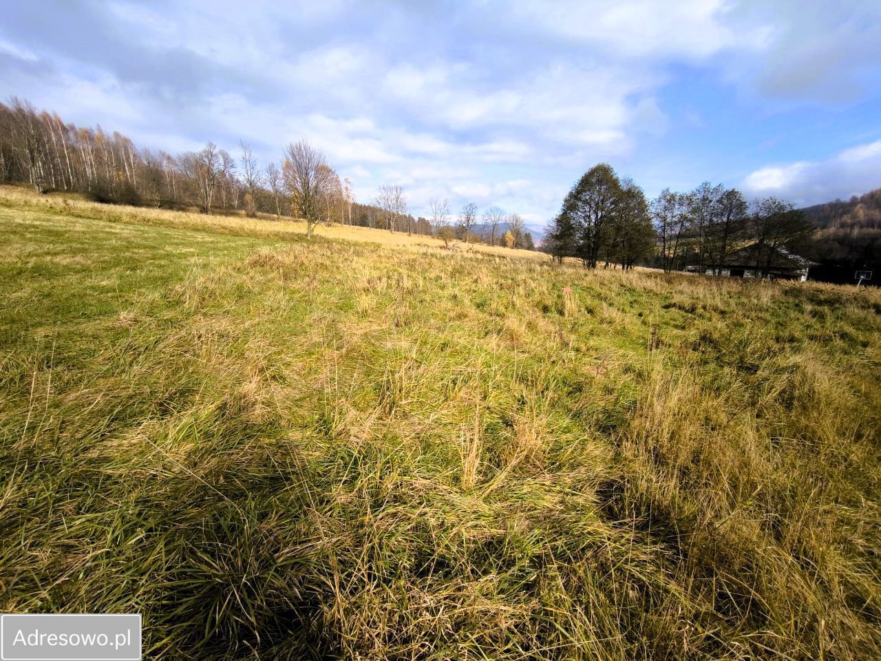 Działka budowlana Stronie Śląskie. Zdjęcie 5