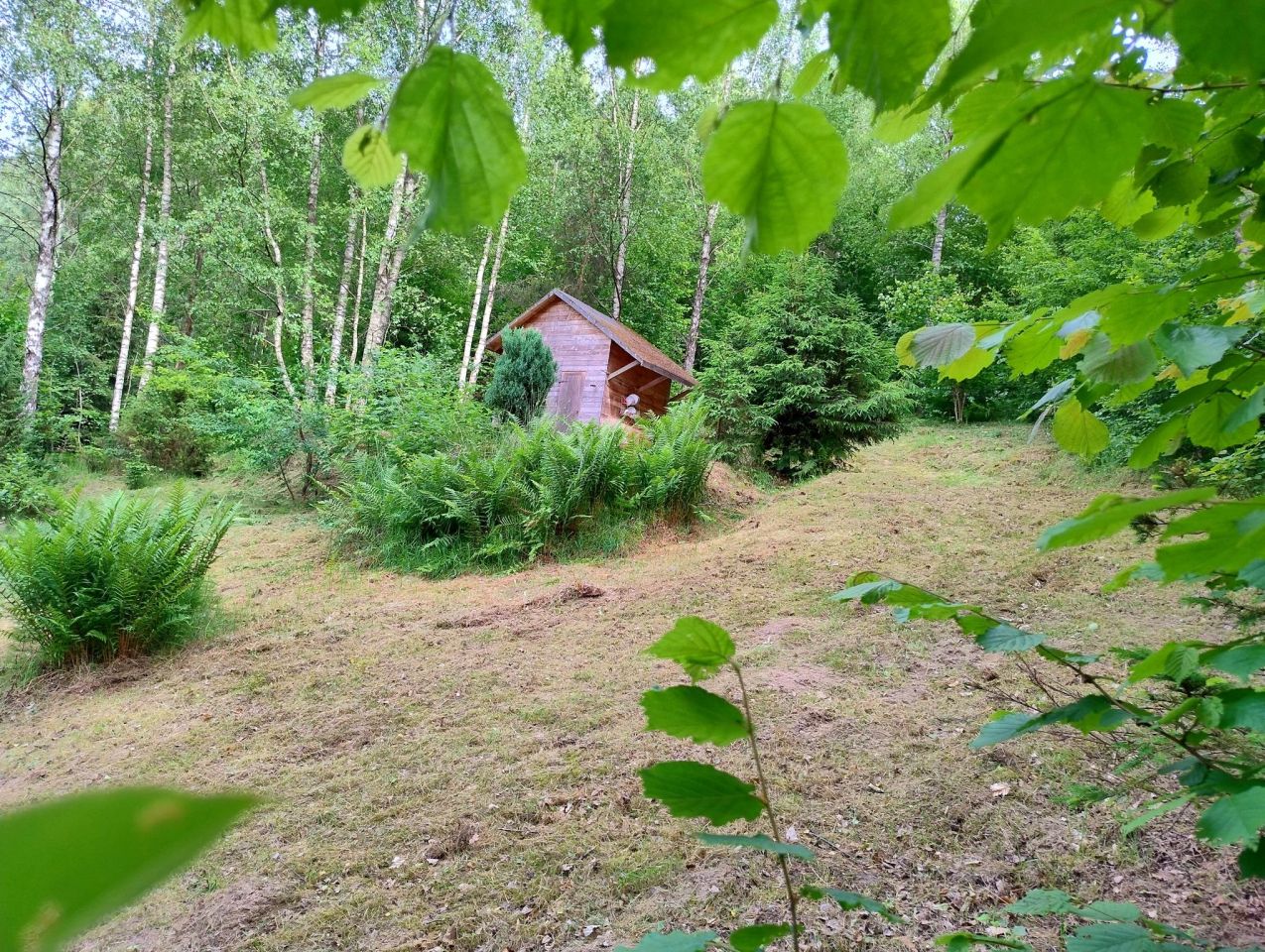 Działka rolna Brodnica Dolna, ul. Rybacka. Zdjęcie 2