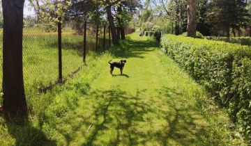 dom wolnostojący, 3 pokoje Lusina