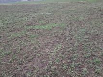 Działka budowlana Karwacz. Zdjęcie 2