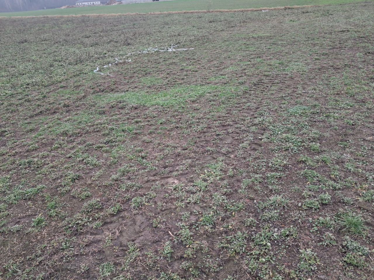 Działka budowlana Karwacz. Zdjęcie 3