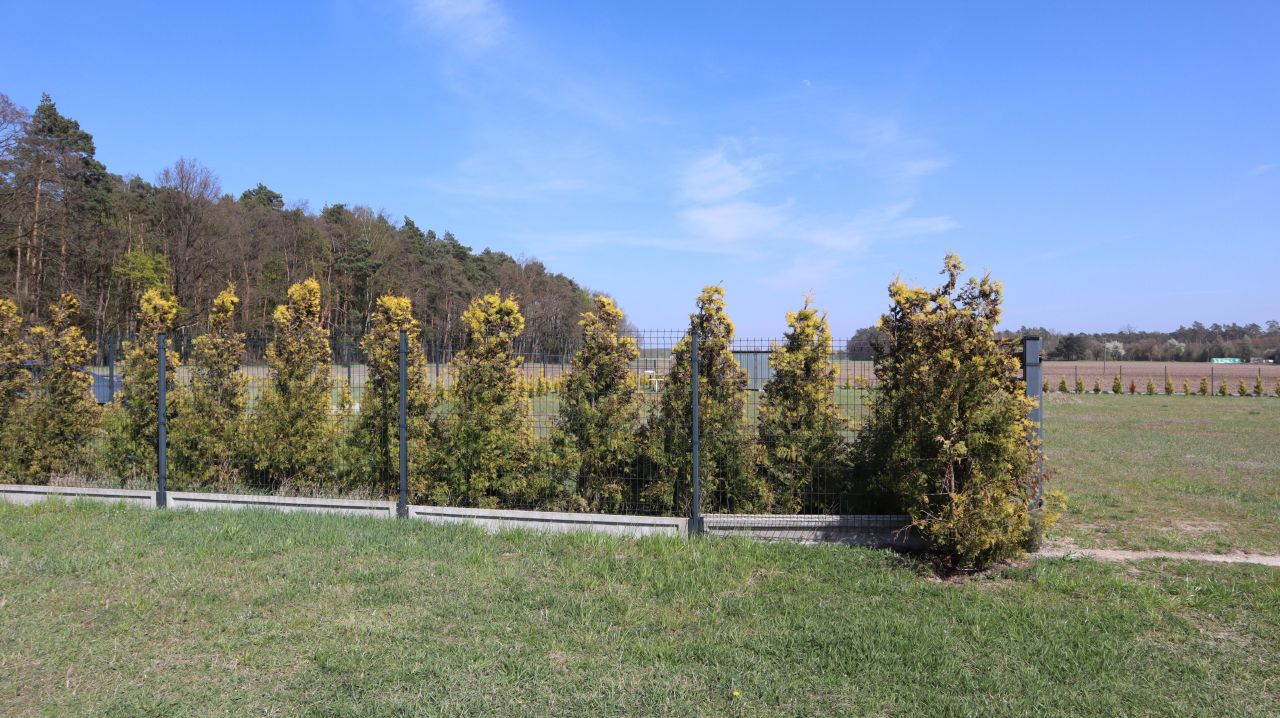 Działka budowlana Charbice Dolne, Charbice Dolne 31b. Zdjęcie 10