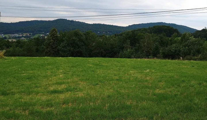 Działka rolno-budowlana Zasań Pod Kamiennikiem