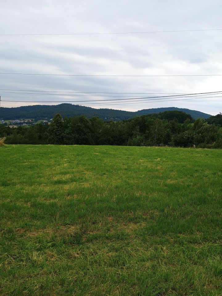 Działka rolno-budowlana Zasań Pod Kamiennikiem. Zdjęcie 1