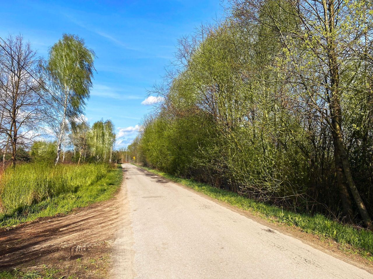 Działka budowlana Uwieliny, ul. Spokojna. Zdjęcie 6