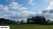 Działka rolna Dobra Wola. Zdjęcie 4