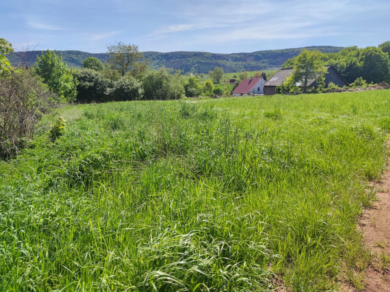 Działka budowlana Radków, ul. Górska. Zdjęcie 5