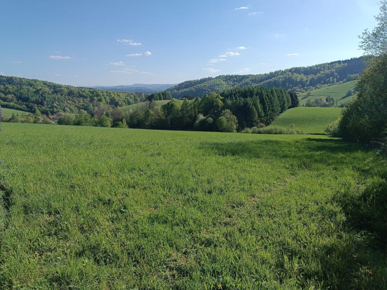 Działka rekreacyjna Wujskie. Zdjęcie 5