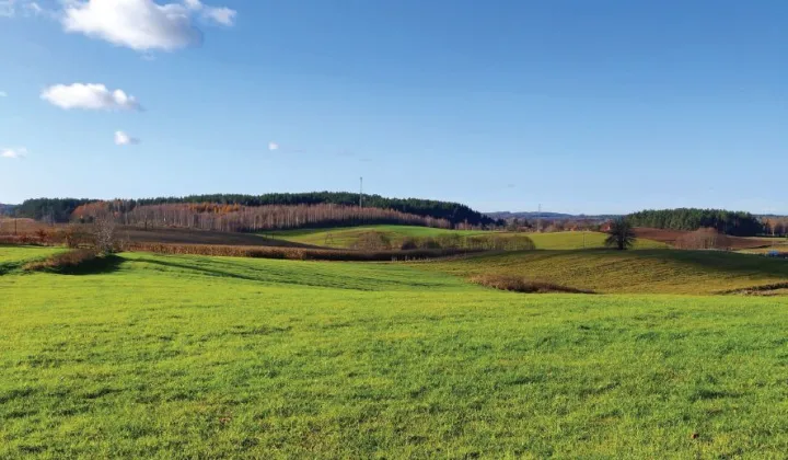 Działka budowlana Woryty