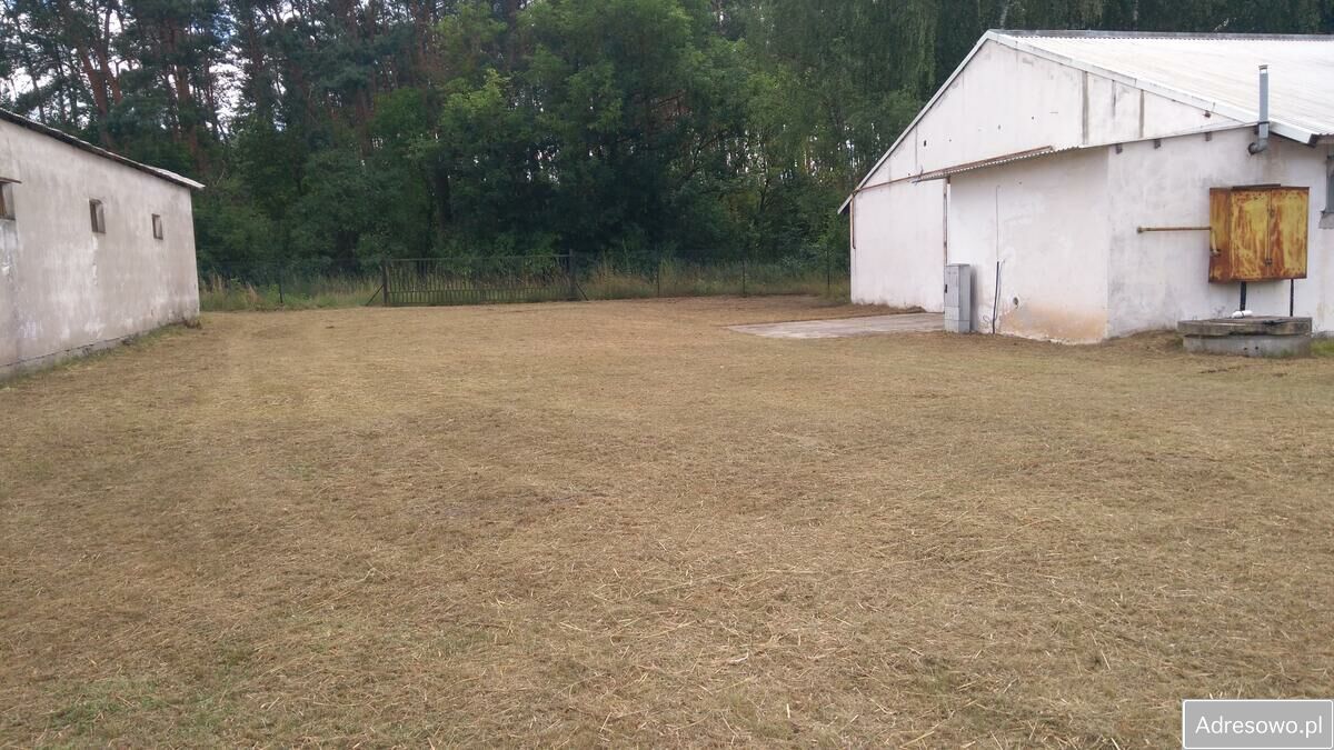 Działka inwestycyjna Skwierzyna. Zdjęcie 7