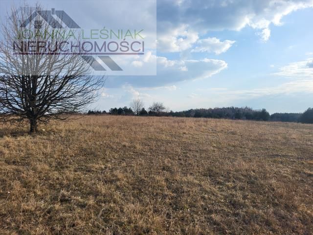 Działka budowlana Chechło, ul. Kluczewska. Zdjęcie 2