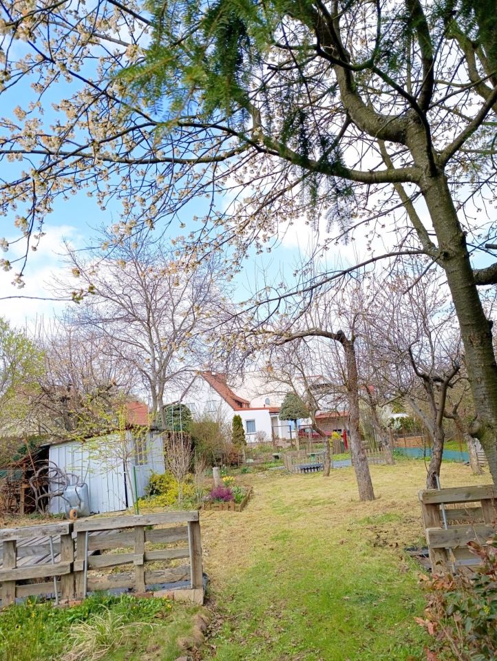 Działka rod Nysa, ul. Władysława Jagiełły. Zdjęcie 8