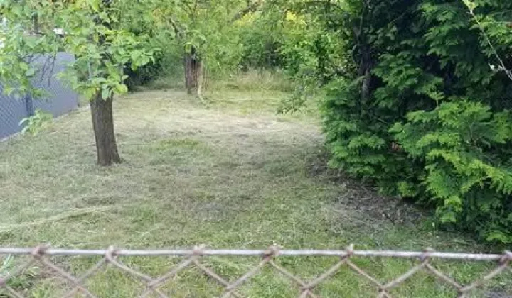 Działka rod Poznań Dębiec, ul. Jałowcowa