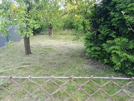 Działka rod Poznań Dębiec, ul. Jałowcowa. Zdjęcie 1