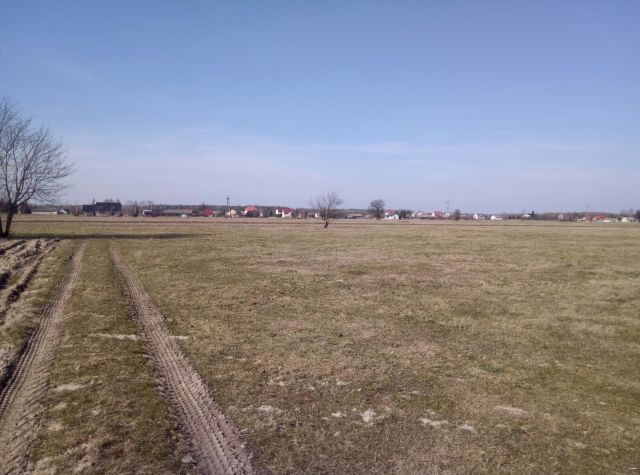 Działka budowlana Borawe, (brak). Zdjęcie 1