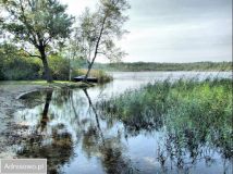 Działka budowlana Stolec. Zdjęcie 4
