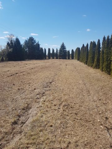 Działka budowlana Natolin. Zdjęcie 1