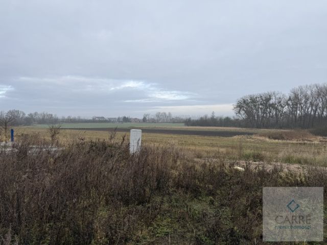 Działka Warzymice. Zdjęcie 5