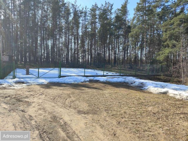 Działka rekreacyjna Kamień, ul. Perkoza. Zdjęcie 1