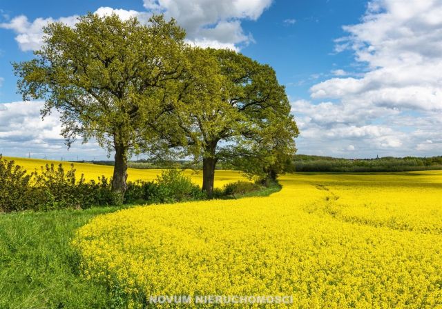 Działka inwestycyjna Tarnowskie Góry. Zdjęcie 1