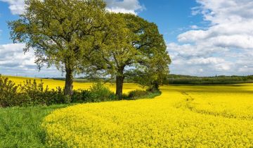 Działka inwestycyjna Tarnowskie Góry
