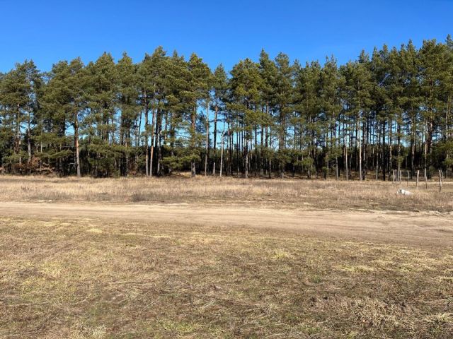 Działka budowlana Kotuń. Zdjęcie 1