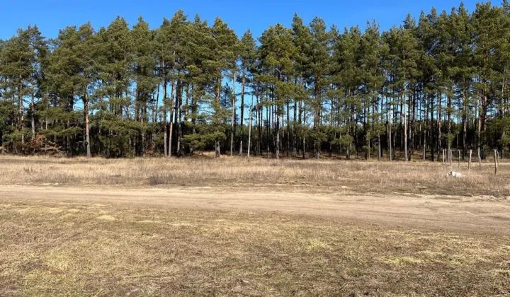 Działka budowlana Kotuń